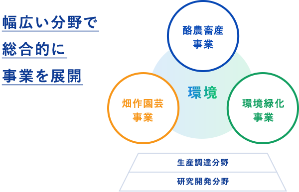 幅広い分野で総合的に事業を展開