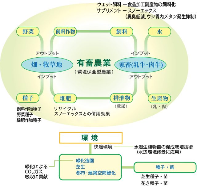 概念図