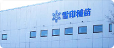 雪印種苗の事業