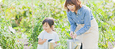 一般のお客さま