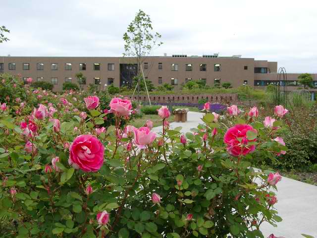 神田外語大学