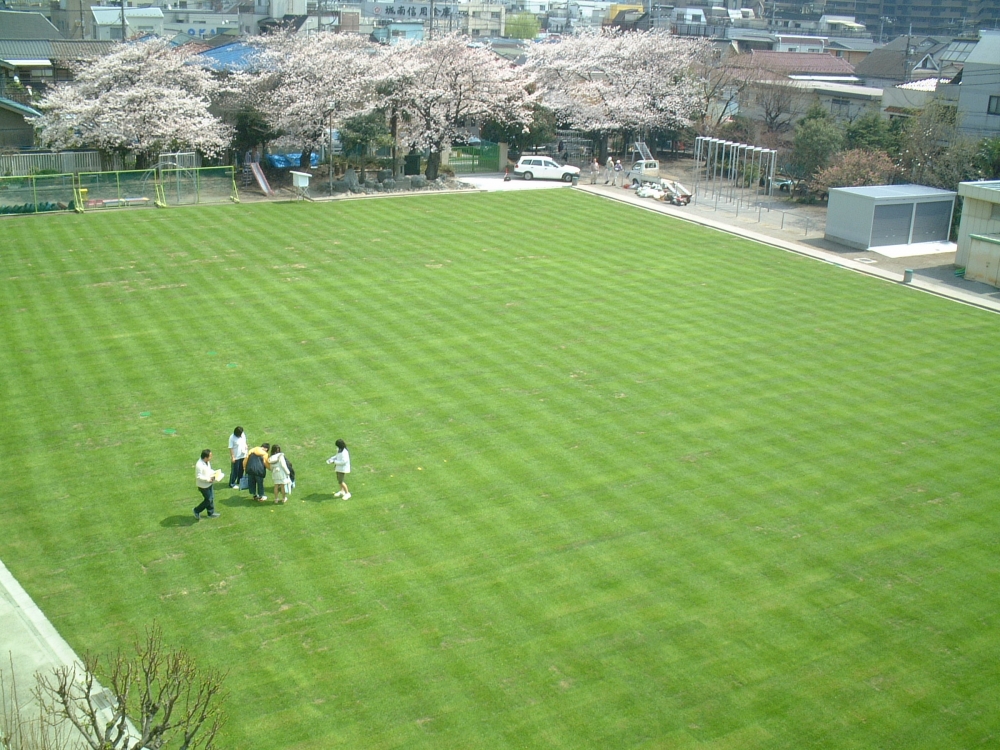 資生館小学校グラウンド芝生維持管理業務 校庭芝生化 スポーツターフ 環境緑化分野 施工 管理 事例紹介 商品情報 雪印種苗株式会社