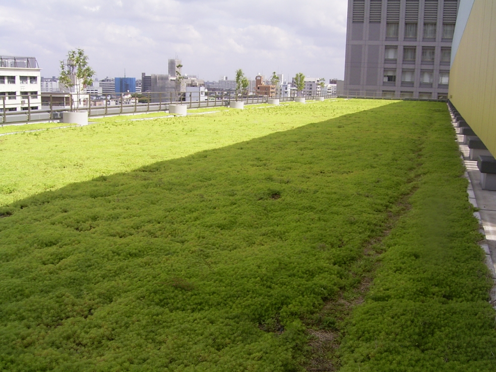 オリナス錦糸町（ショッピングモール）