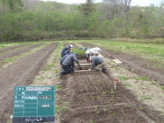 国立公園内の自然再生事業、地域性種苗の育成