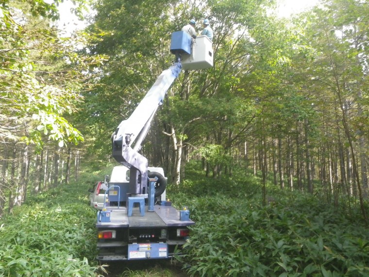 国立公園内の自然再生事業、地域性種苗の育成