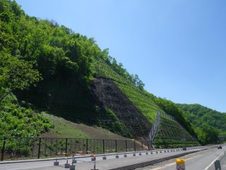 地域性種苗による法面緑化B