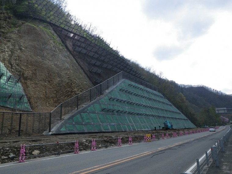 地域性種苗による法面緑化B