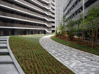 稲毛東共同住宅外構植栽工事