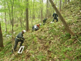 ダム建設現場での保全（希少種等の移植など）