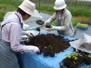 地域性種苗の育成、森づくり