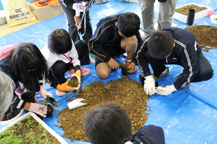 ゆったり館周辺森づくり事業　地域性種苗の育成、森づくり