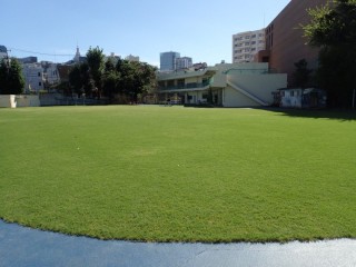 新宿区立小学校芝生維持管理