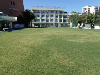 新宿区立小学校芝生維持管理