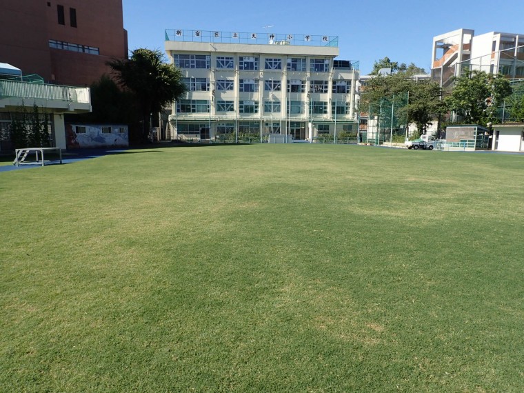 新宿区立小学校芝生維持管理