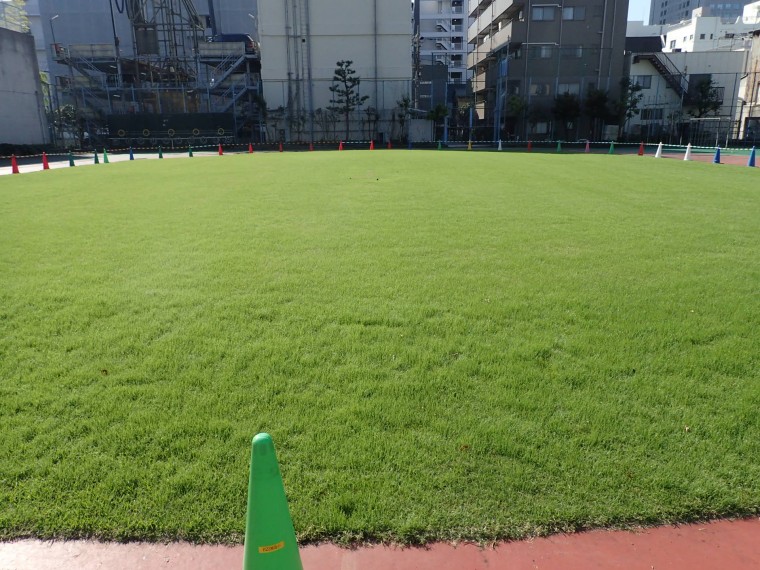 墨田区立小学校校庭芝生管理