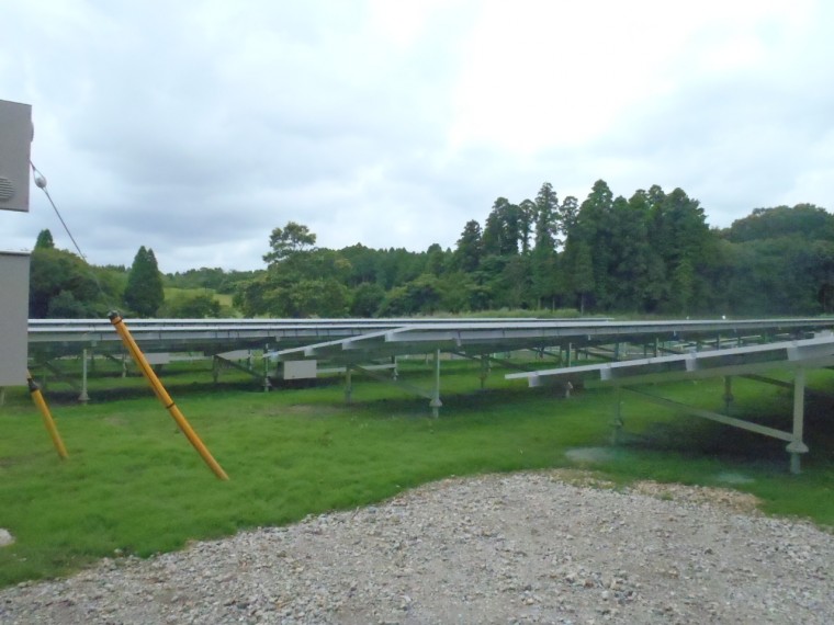 太陽光発電施設緑化