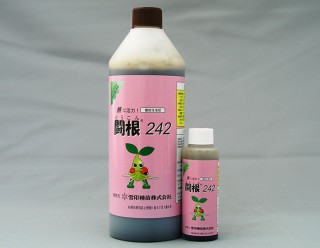 闘根242