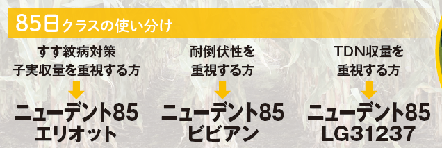 85日クラスの使い分け