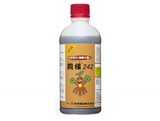 闘根242_550g（都府県限定品）