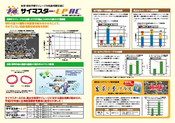 ケプシアLPリーフレット