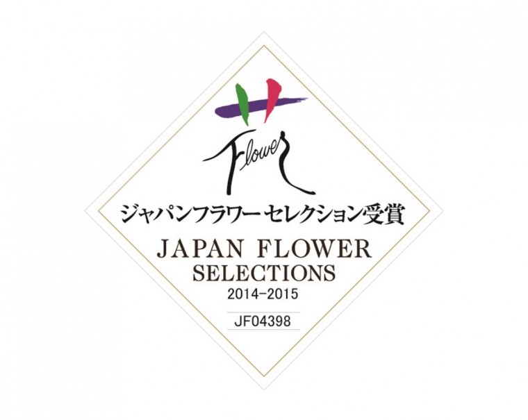 聖夜のあかりJFS受賞（2014-2015）