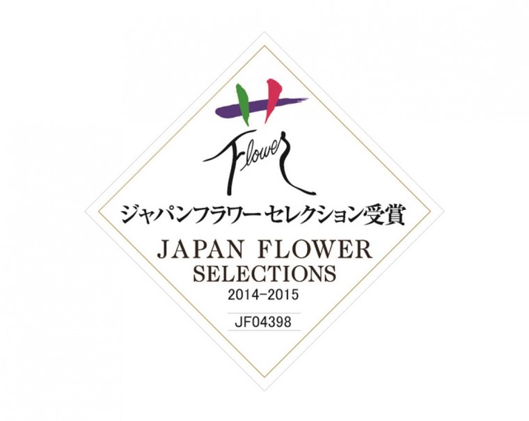 聖夜のあかりJFS受賞（2014-2015）
